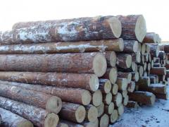 Круглый лес. Кругляк сосна.